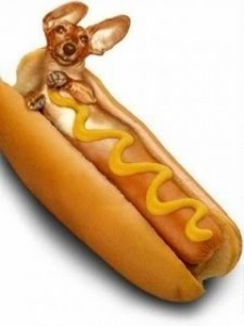 Hot_Dog