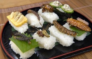 bugs-sushi